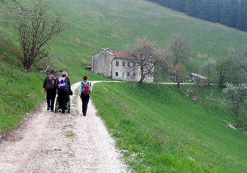 strada delle Penise o Moschina Bassa