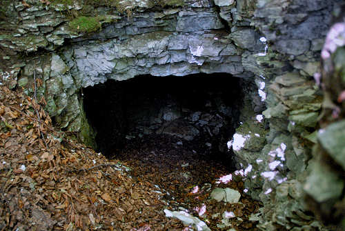 Trincea di San Giovanni ai Colli Alti - Monte Grappa