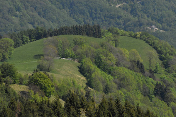 dorsale Mandria-Palon-Tomba, monte Grappa