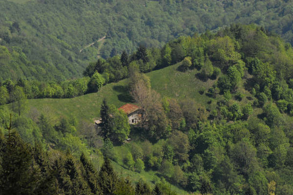 dorsale Mandria-Palon-Tomba, monte Grappa