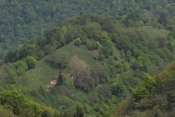 dorsale Mandria-Palon-Tomba, monte Grappa