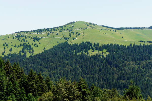 anello Colli Alti, Asolone, monte Oro