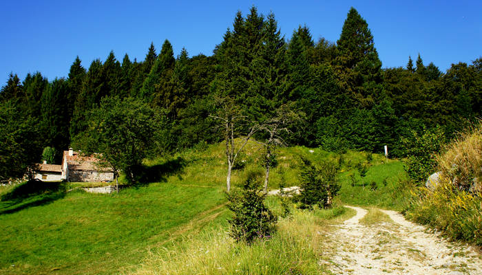 Colli Vecchi, Monte Oro, Monte Grappa