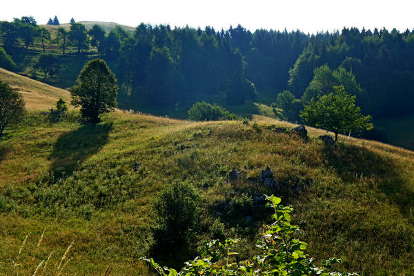 CampoCroce, Val Poise, Colli Vecchi, Monte Oro