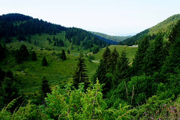 CampoCroce, Val Poise, Colli Vecchi, Monte Oro