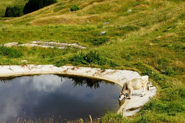 CampoCroce, Val Poise, Colli Vecchi, Monte Oro