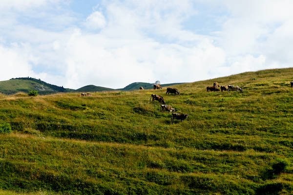 CampoCroce, Val Poise, Colli Vecchi, Monte Oro