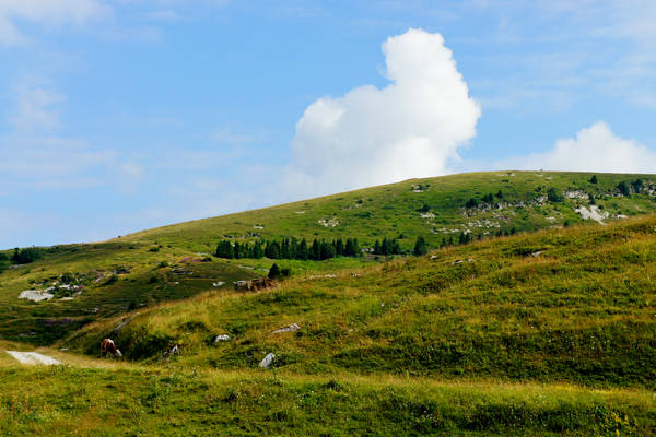 CampoCroce, Val Poise, Colli Vecchi, Monte Oro