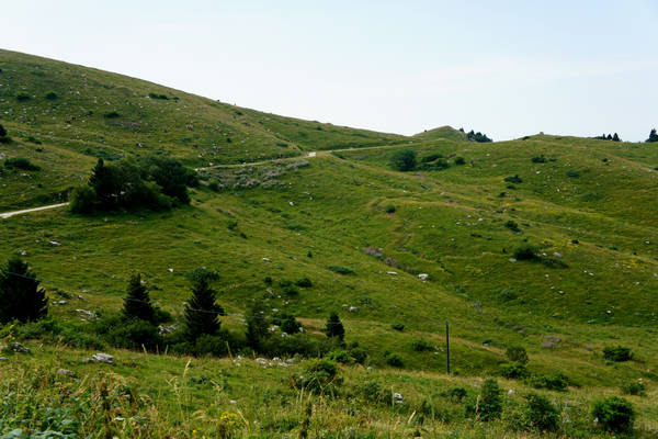 CampoCroce, Val Poise, Colli Vecchi, Monte Oro
