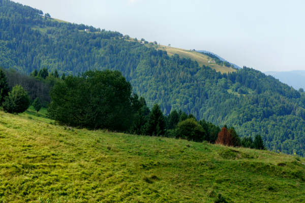 Val di Carazzagno a Rocca d'Arsié