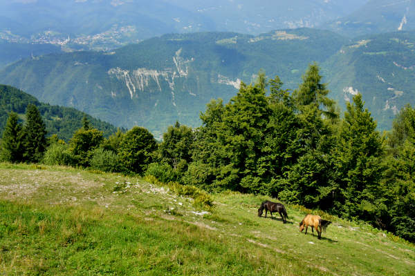 Val di Carazzagno a Rocca d'Arsié