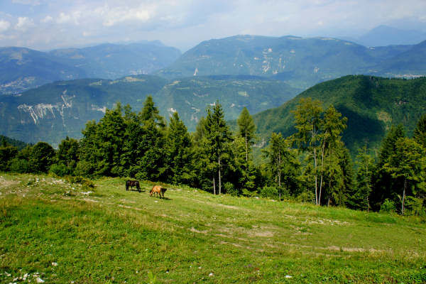 Val di Carazzagno a Rocca d'Arsié