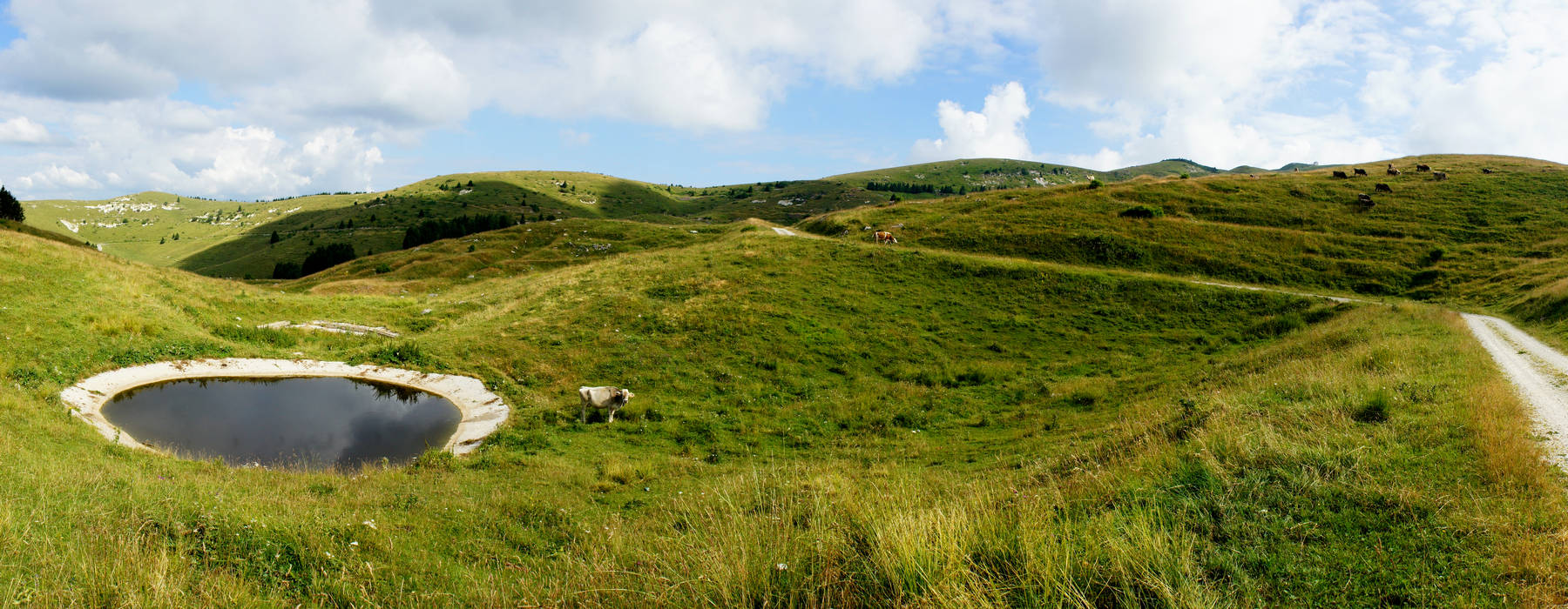 Monte Grappa - fotografia panoramica