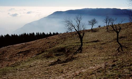 Monte Grappa