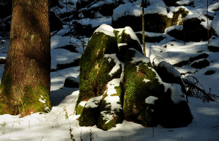 stagioni nel monte Grappa