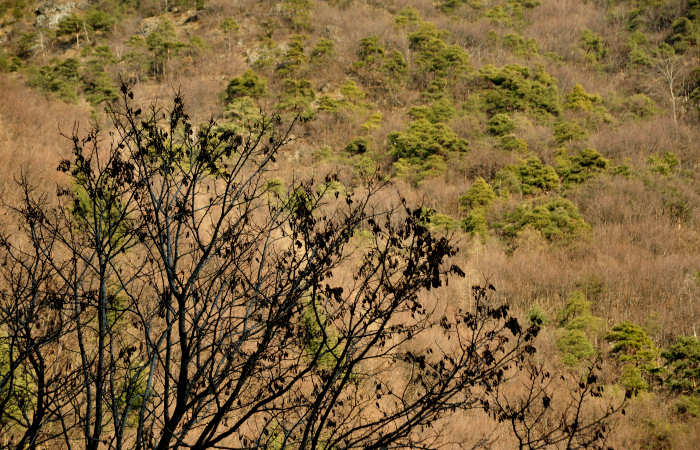 stagioni nel monte Grappa