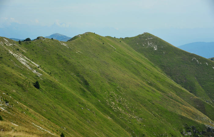 escursione dorsale CimaGrappa-Solaroli / Croce dei Lebi Col dell'Orso Salarolo Valderoa Fontanasecca Val delle Mure Cason del Sole Pian di Bala Val Vecia