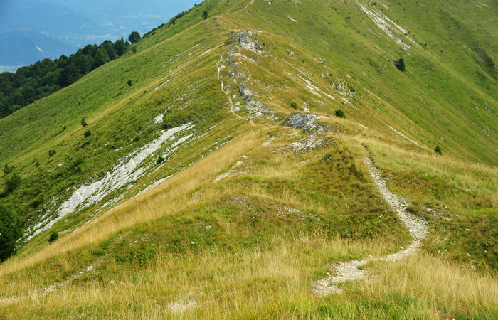 escursione dorsale CimaGrappa-Solaroli / Croce dei Lebi Col dell'Orso Salarolo Valderoa Fontanasecca Val delle Mure Cason del Sole Pian di Bala Val Vecia