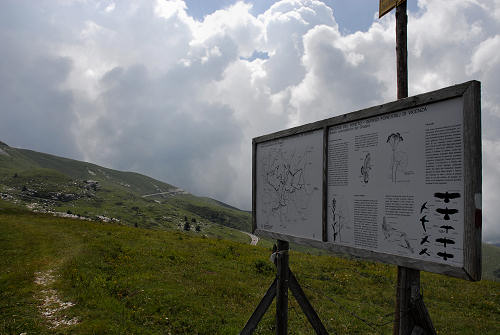 sentiero natura Cima Grappa