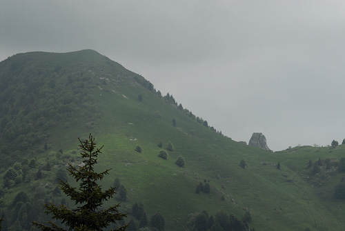 sentiero natura Cima Grappa