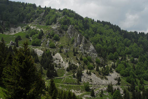 sentiero natura Cima Grappa
