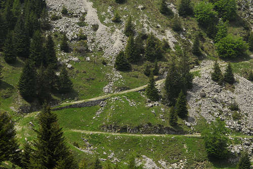 sentiero natura Cima Grappa