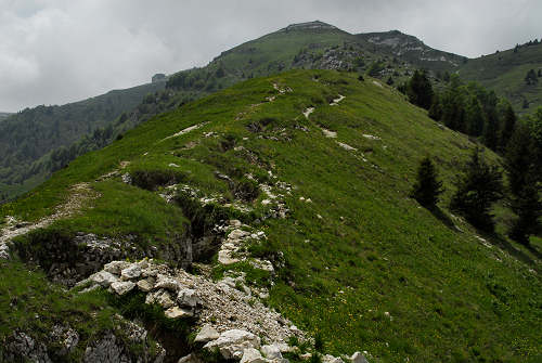 sentiero natura Cima Grappa