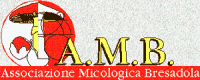 associazione micologica Bresadola