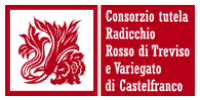 Radicchio Treviso