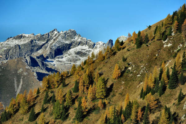 val Viosa, Palon Cavallara, Sternozzena, Orena Tolv&agrave;