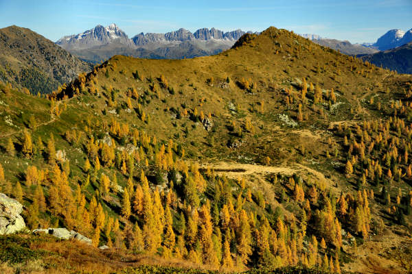 val Viosa, Palon Cavallara, Sternozzena, Orena Tolv&agrave;