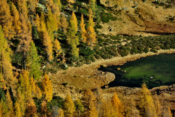 val Viosa, Palon Cavallara, Sternozzena, Orena Tolv&agrave;
