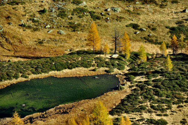 val Viosa, Palon Cavallara, Sternozzena, Orena Tolv&agrave;