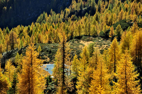 val Viosa, Palon Cavallara, Sternozzena, Orena Tolv&agrave;