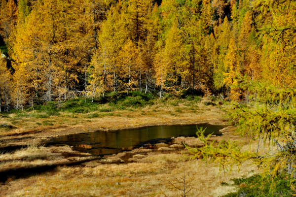 val Viosa, Palon Cavallara, Sternozzena, Orena Tolv&agrave;