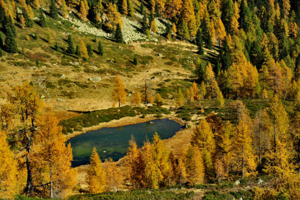 val Viosa, Palon Cavallara, Sternozzena, Orena Tolv&agrave;