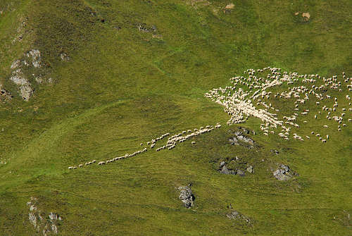 lago di Calaita, forcella Grugola, cima Folga, forcella Folga