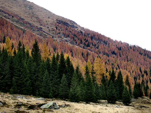 lago di Calaita - Lagorai, valle Vanoi Lozen