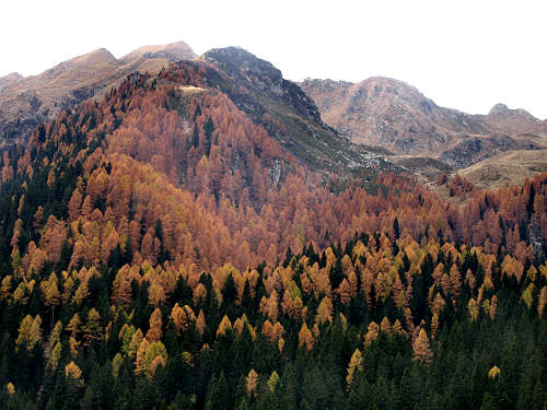 lago di Calaita - Lagorai, valle Vanoi Lozen