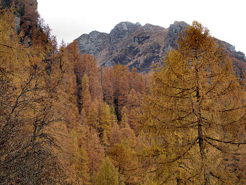 lago di Calaita - Lagorai, valle Vanoi Lozen