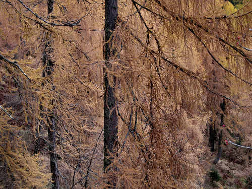 lago di Calaita - Lagorai, valle Vanoi Lozen