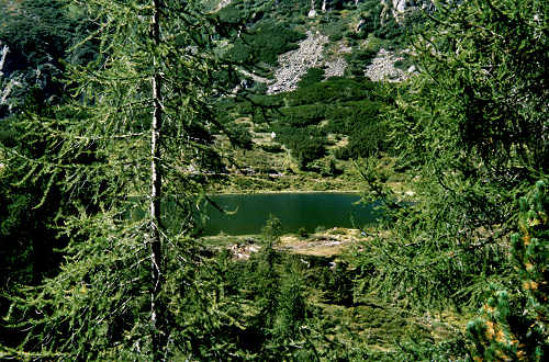 passeggiata ai laghetti Colbricon, Paneveggio Passo Rolle