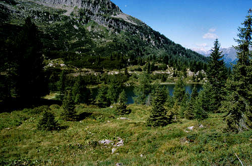 passeggiata ai laghetti Colbricon, Paneveggio Passo Rolle