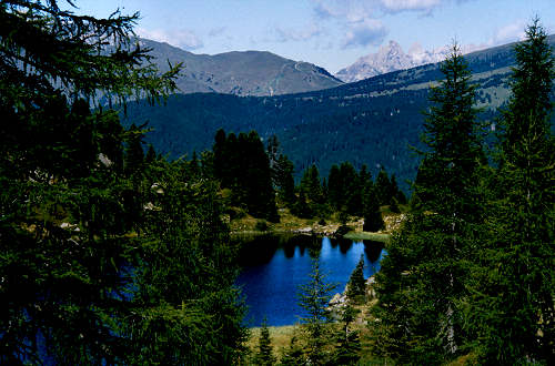 passeggiata ai laghetti Colbricon, Paneveggio Passo Rolle