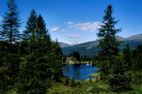 passeggiata ai laghetti Colbricon, Paneveggio Passo Rolle