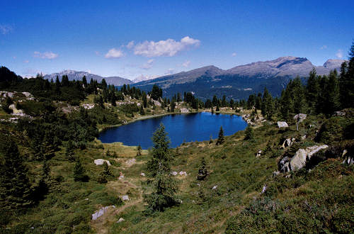 passeggiata ai laghetti Colbricon, Paneveggio Passo Rolle