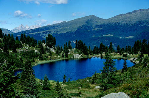 passeggiata ai laghetti Colbricon, Paneveggio Passo Rolle