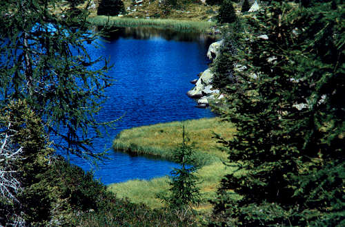 passeggiata ai laghetti Colbricon, Paneveggio Passo Rolle