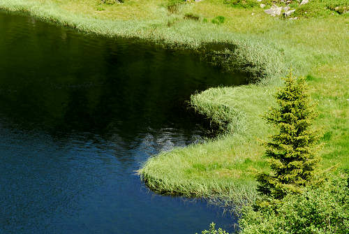 laghetti Colbricon passo Rolle