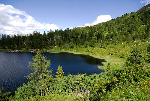 laghetti Colbricon passo Rolle